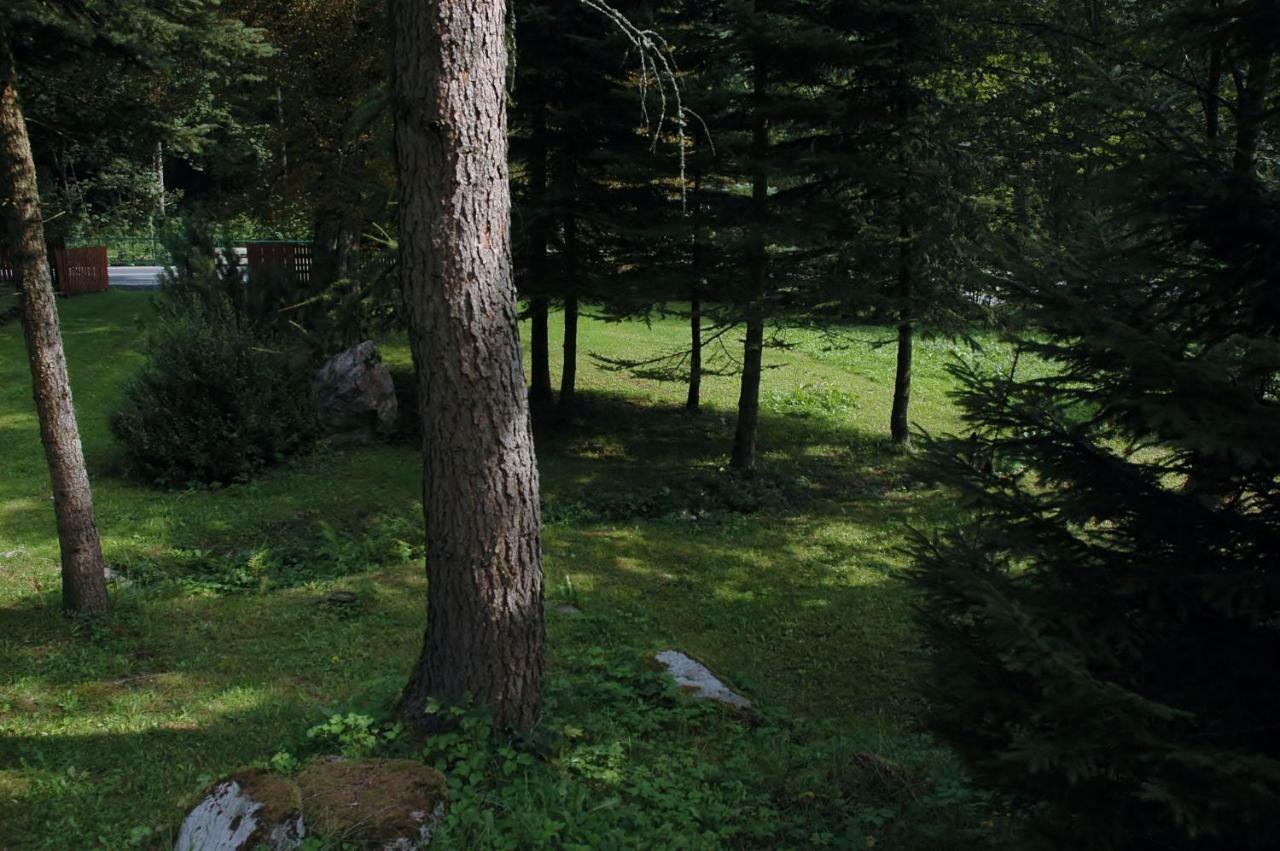 Villa Orlí Hnízdo Černý Důl Exterior foto