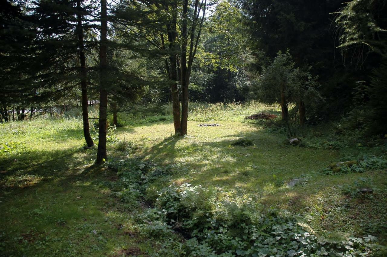Villa Orlí Hnízdo Černý Důl Exterior foto