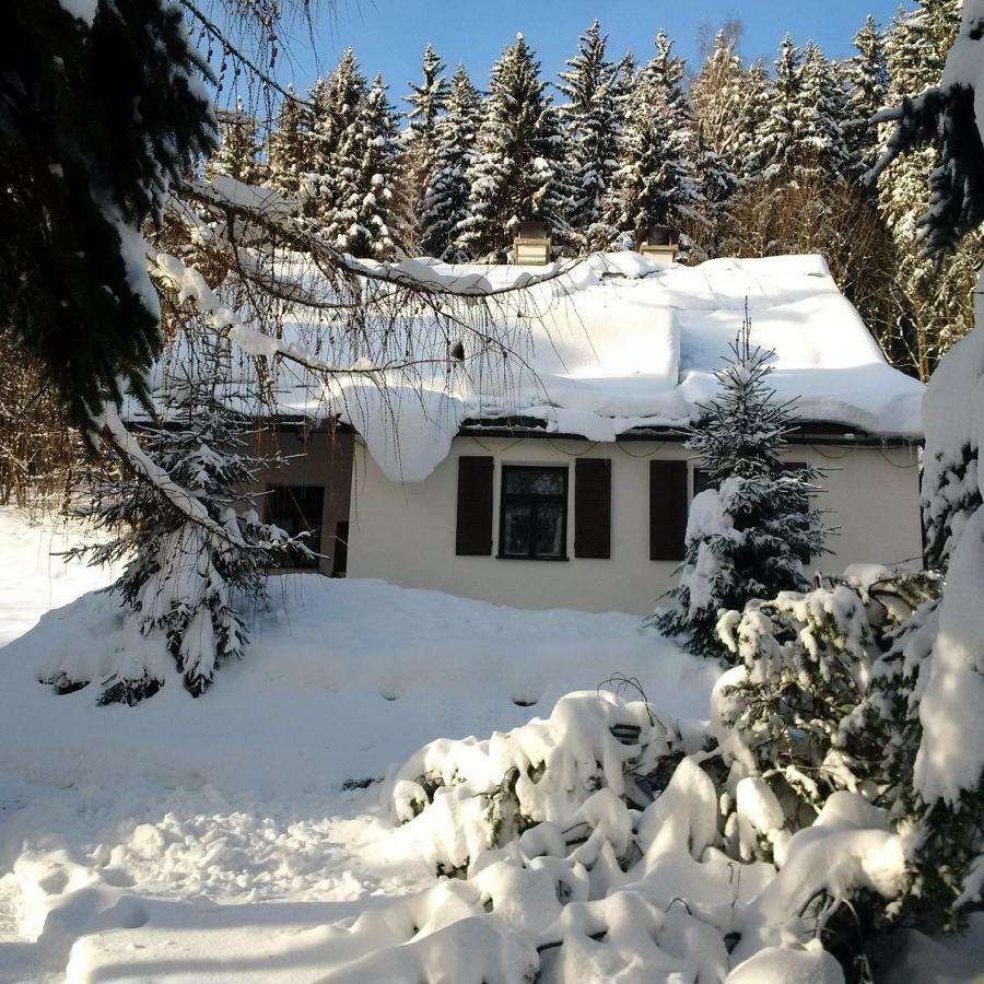 Villa Orlí Hnízdo Černý Důl Exterior foto
